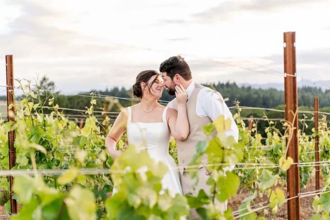 Bride and groom in the vineyard